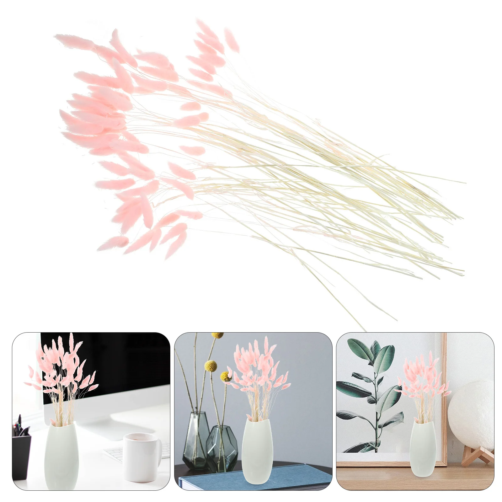 Натуральная сушеная трава с кроличьим хвостом - Фотография_3