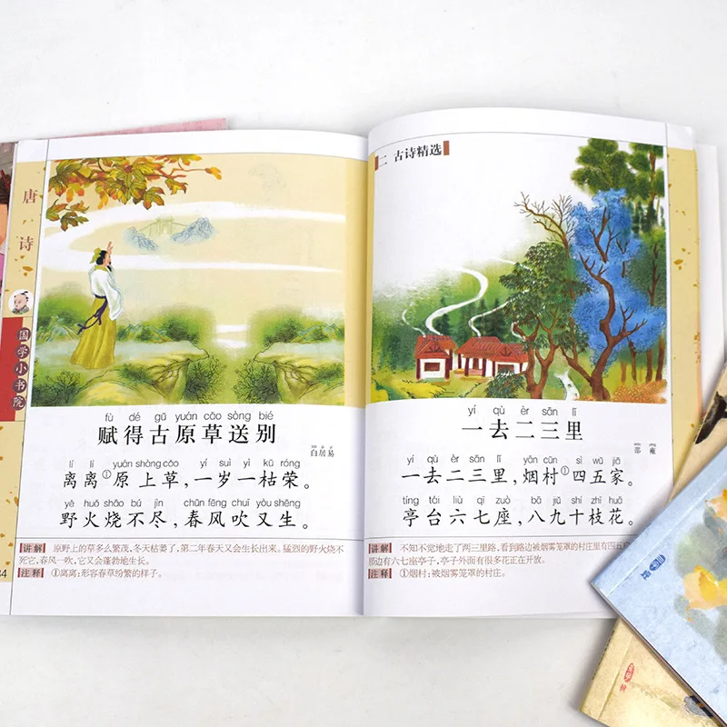 Версия классических книг китайских - Фотография_3