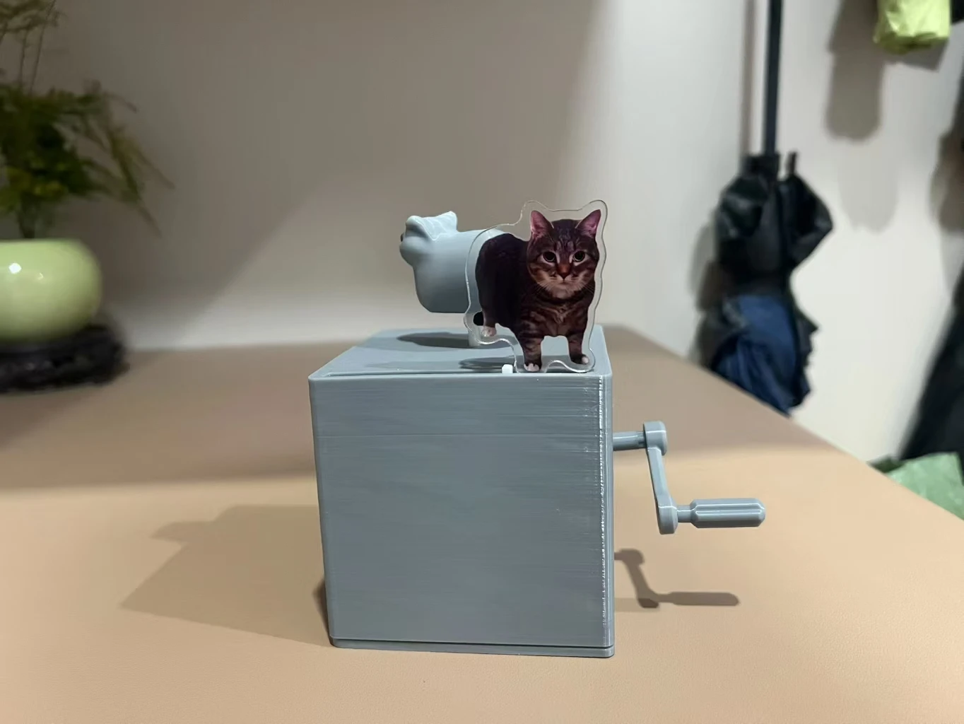 Игрушки для кошек oiia - Фотография_2