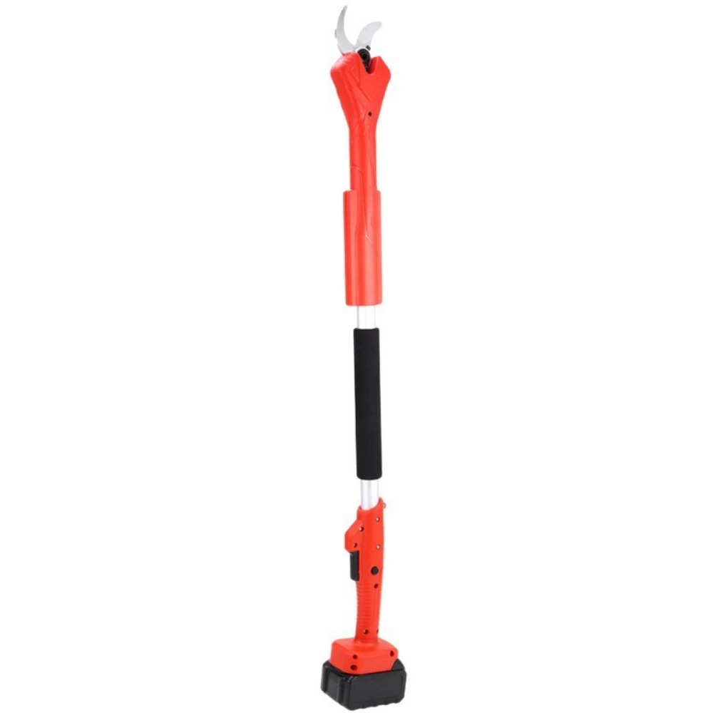 Садовые фруктовые деревья - Фотография_6