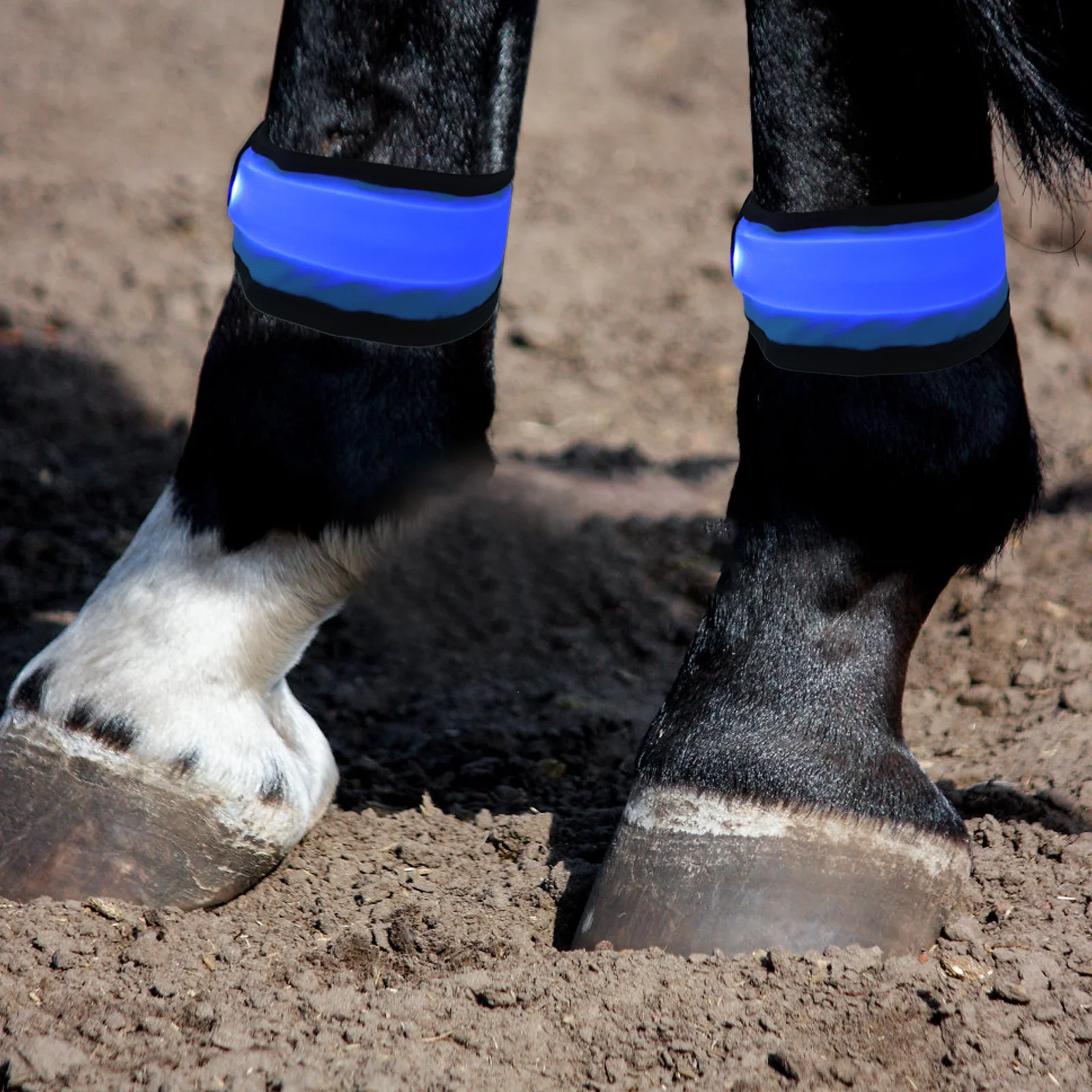 Светодиодные ремни для ног лошади - Фотография_2
