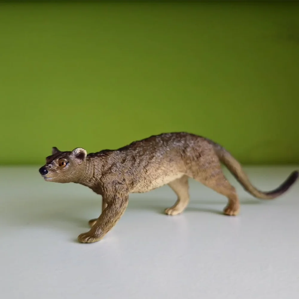 Toymany моделирование fossa мадагаскар - Фотография_6