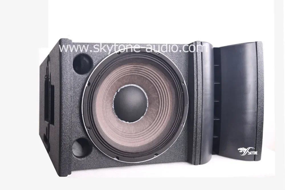 12-дюймовый линейный массив модуля - Фотография_6