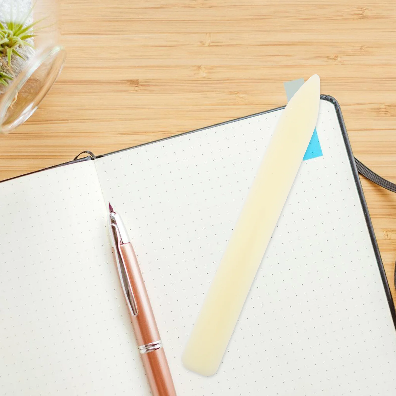 Пластиковая папка для костей - Фотография_4