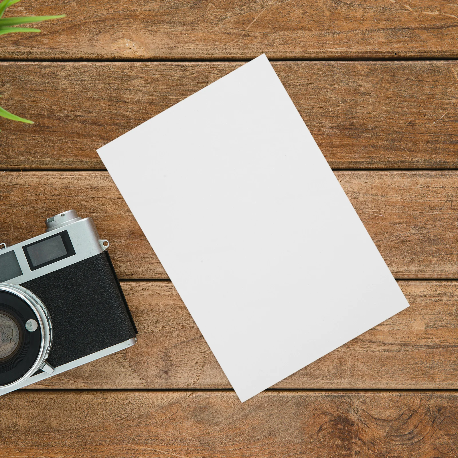 Глянцевая фото гладкая плоская - Фотография_5