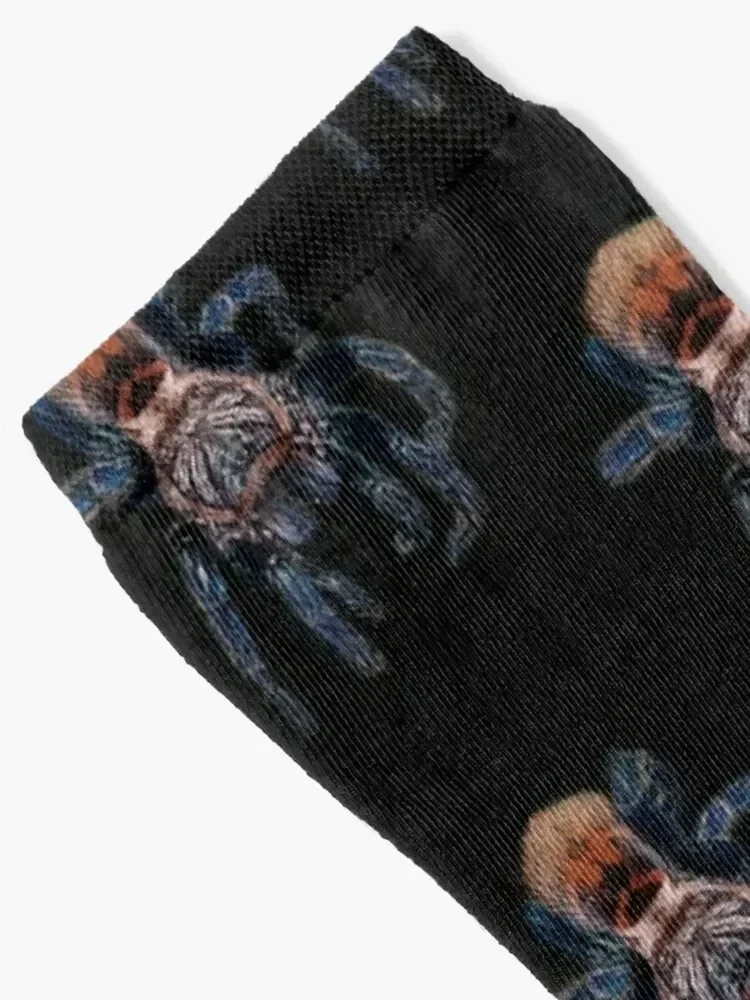 Gbb - chromatopelma cyaneopubescens - Фотография_2