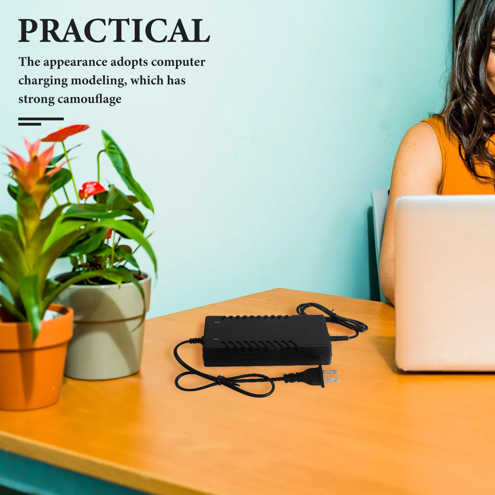 Скрытая копилка, поддельная вилка - Фотография_4