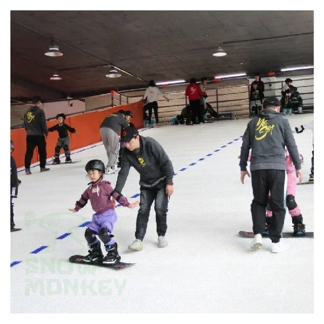 Образец гриба сухой лыжный коврик - Фотография_4