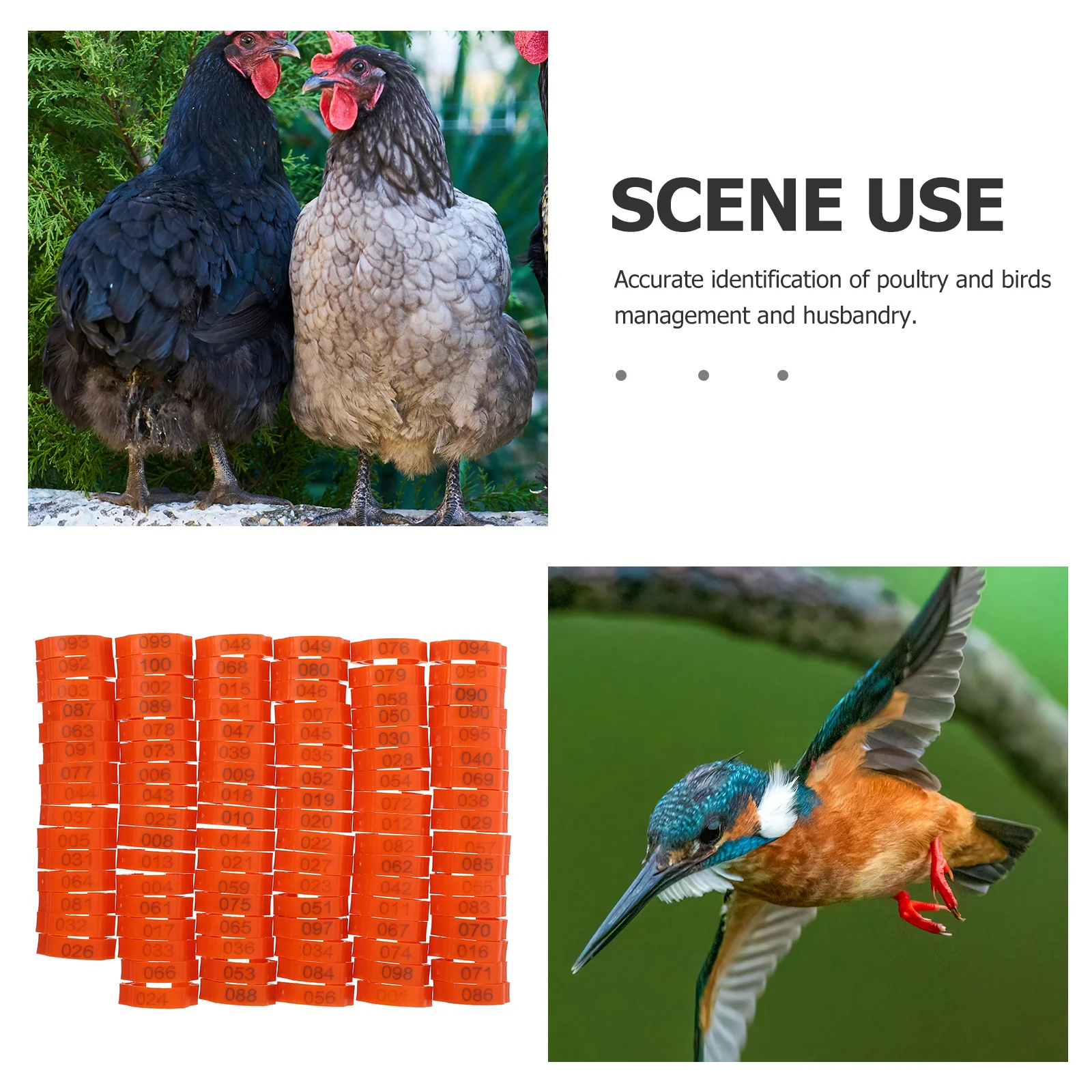 Ленты для куриных ножек - Фотография_2