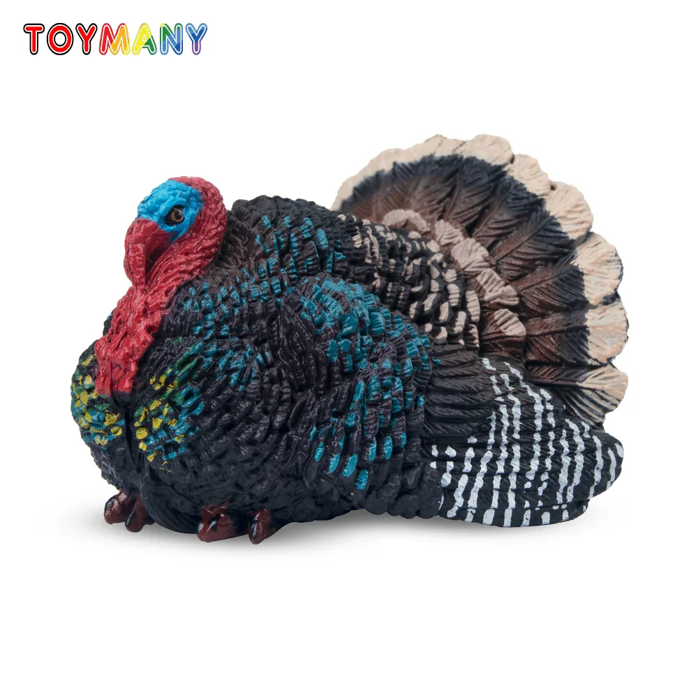 Toymany моделирование турция дикая