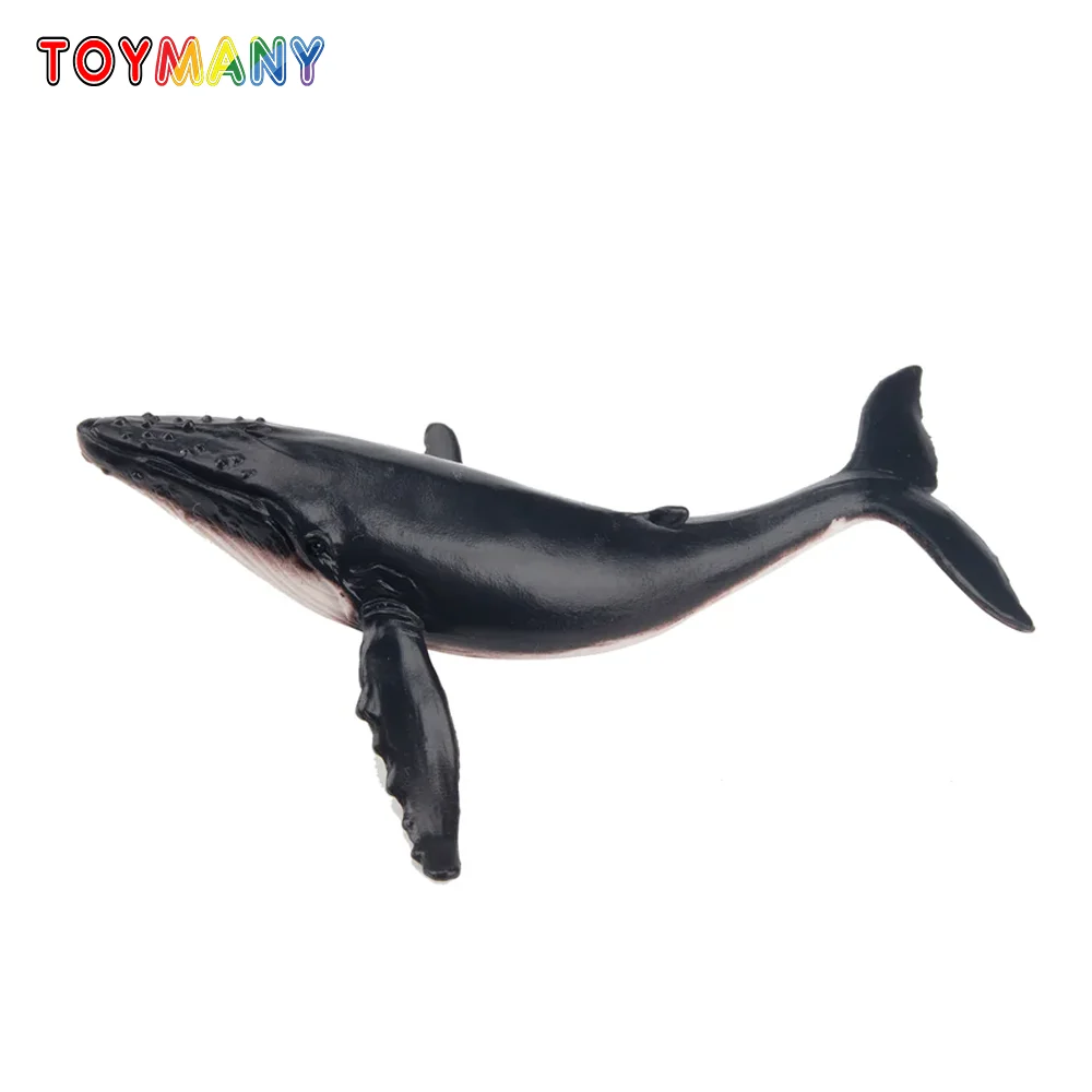 Toymany моделирование горбатый