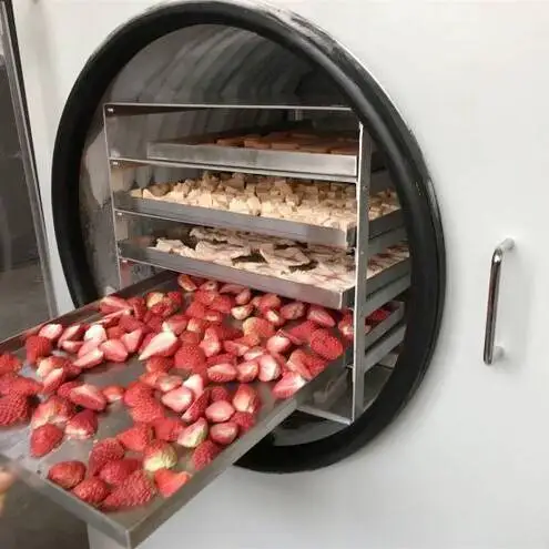 Растительные промышленные фрукты - Фотография_3