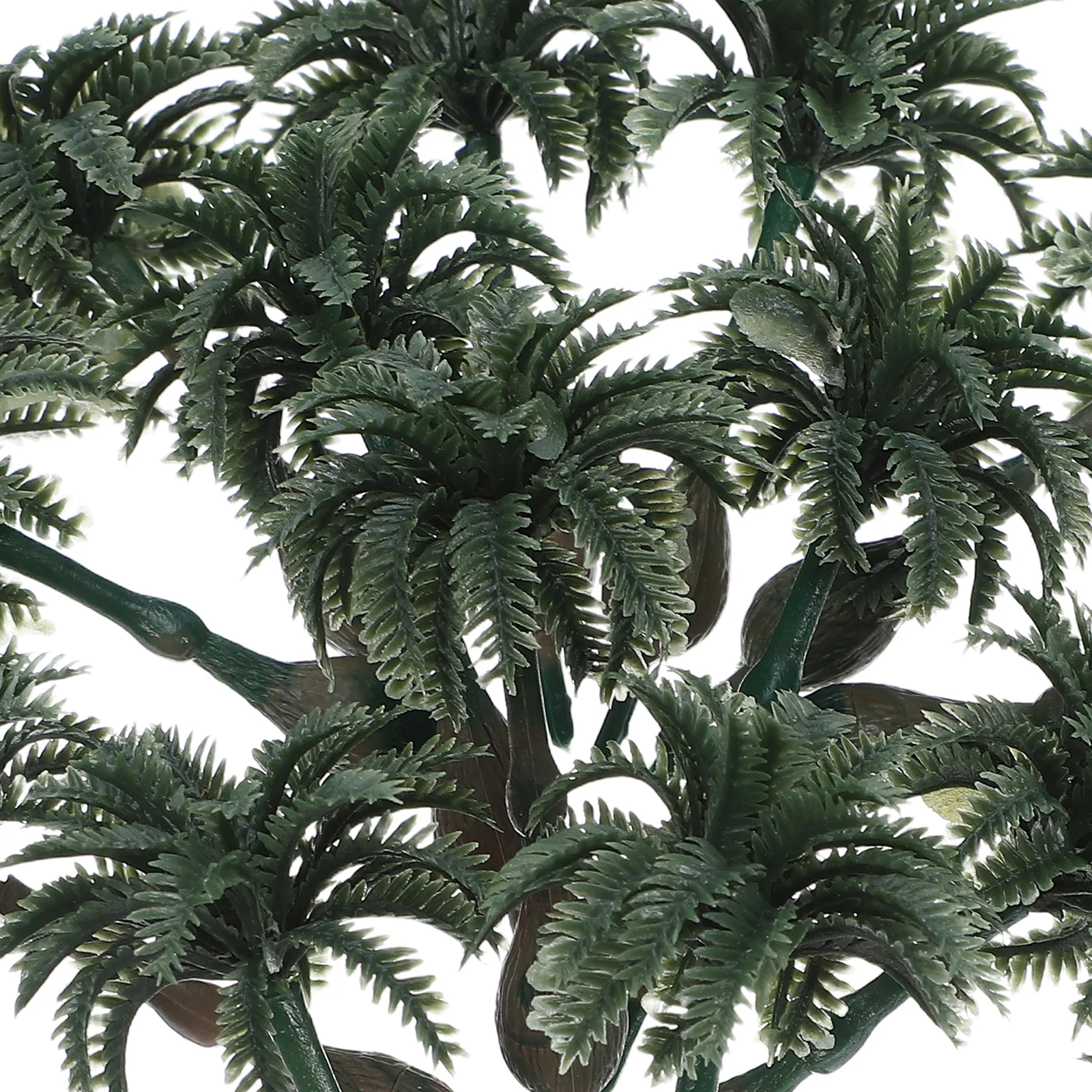 Миниатюрные пальмы с нулевым обслуживанием - Фотография_2