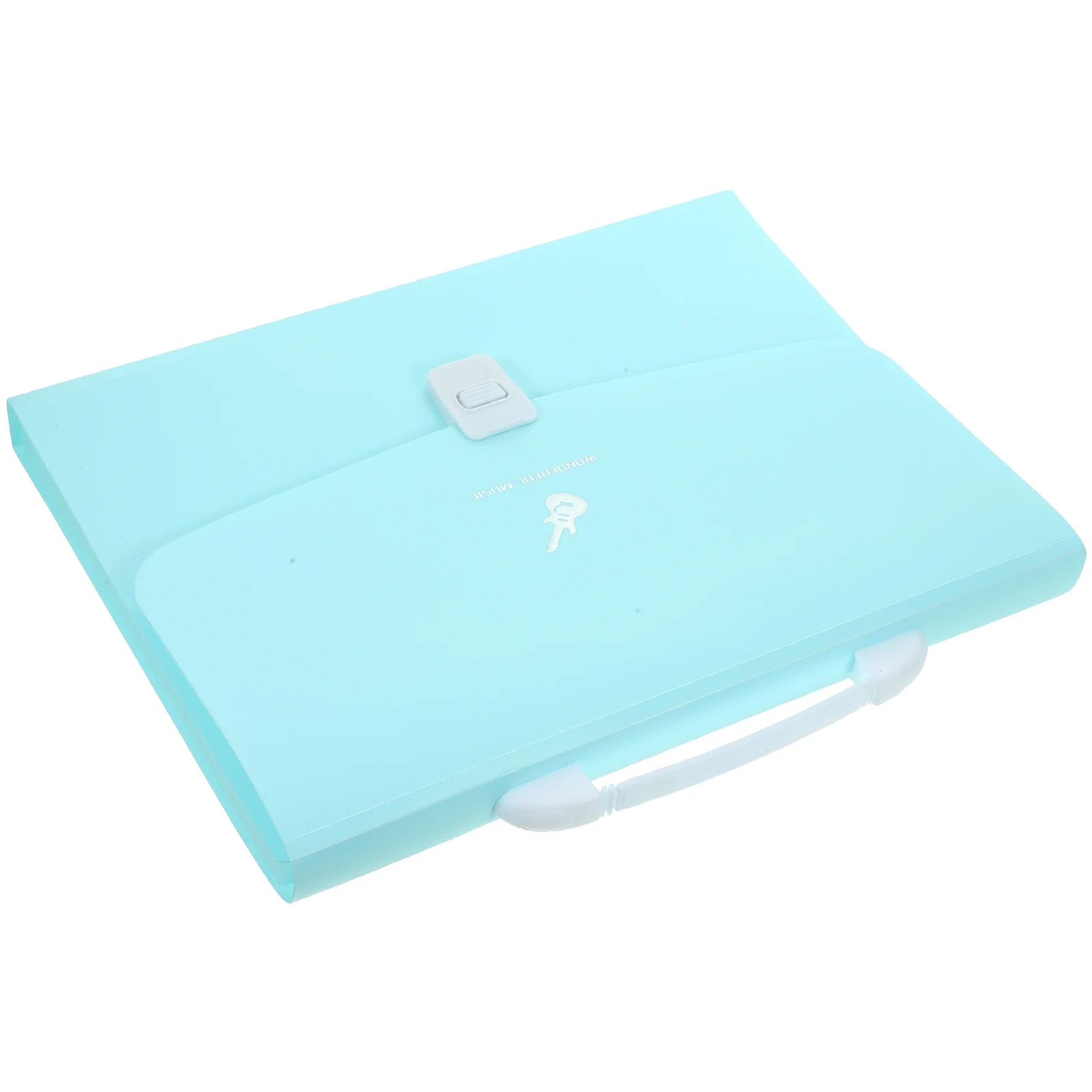 Папка-органайзер для аккордеона - Фотография_2