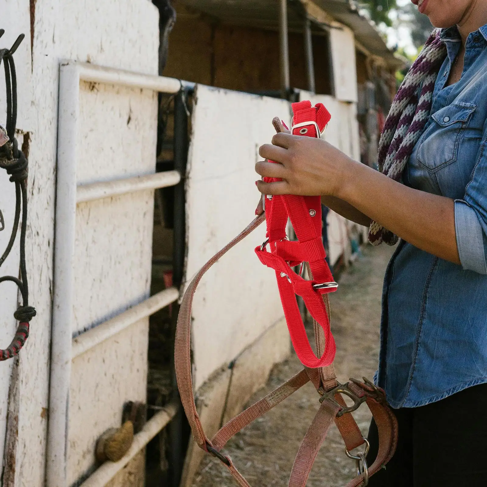 Детский конный тренировочный недоуздок для лошадей - Фотография_2