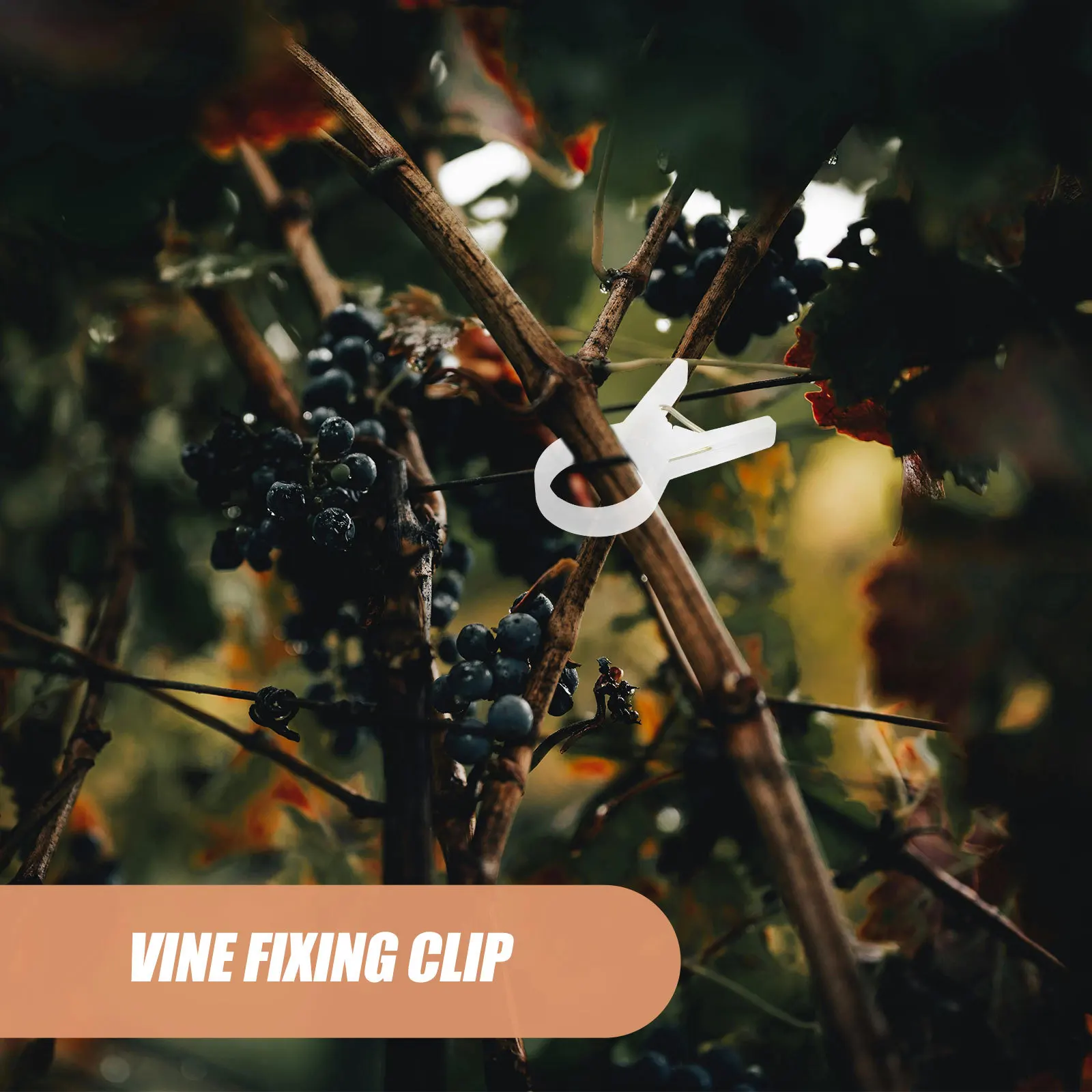 Прозрачные зажимы для растений - Фотография_4