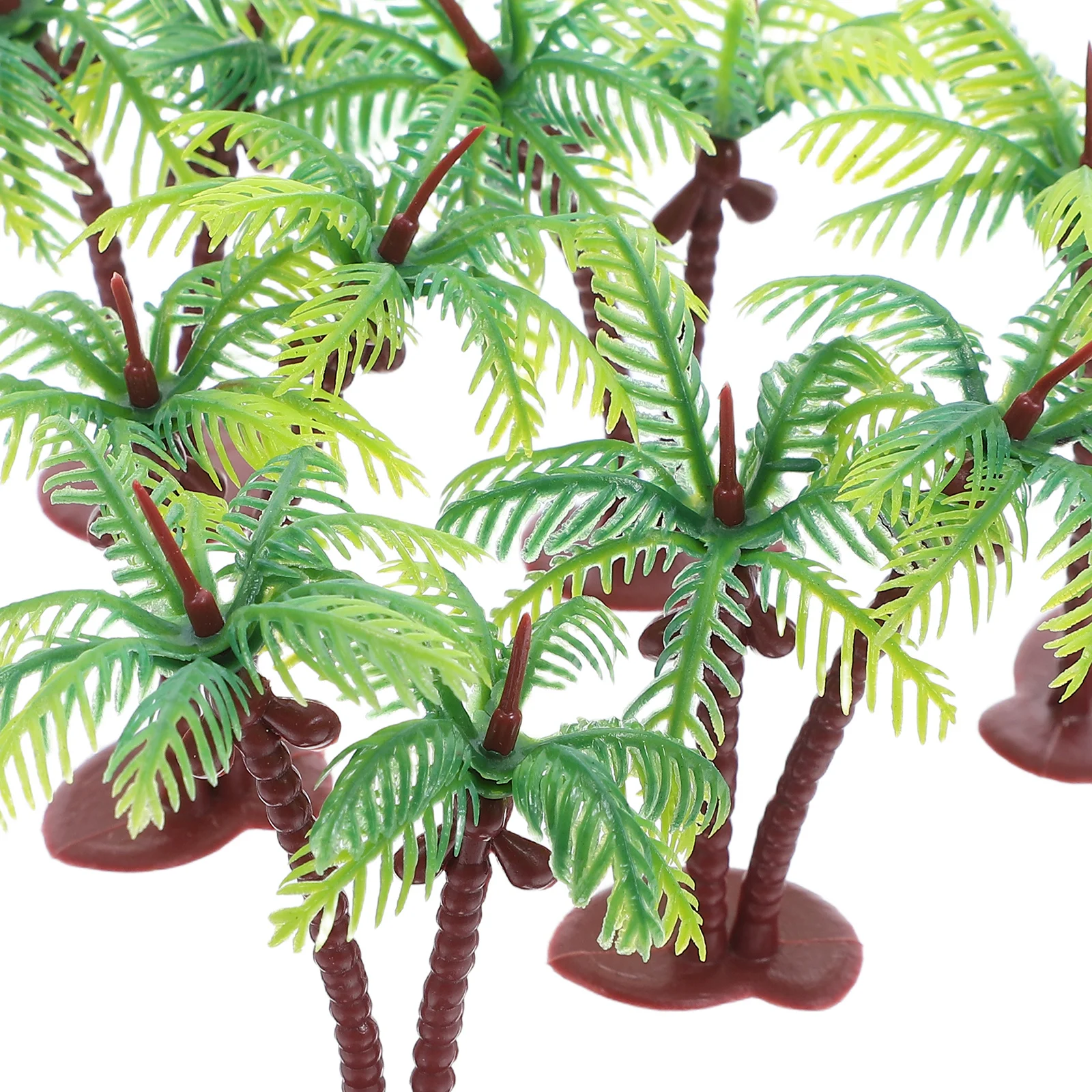 Миниатюрные кокосовые пальмы - Фотография_5