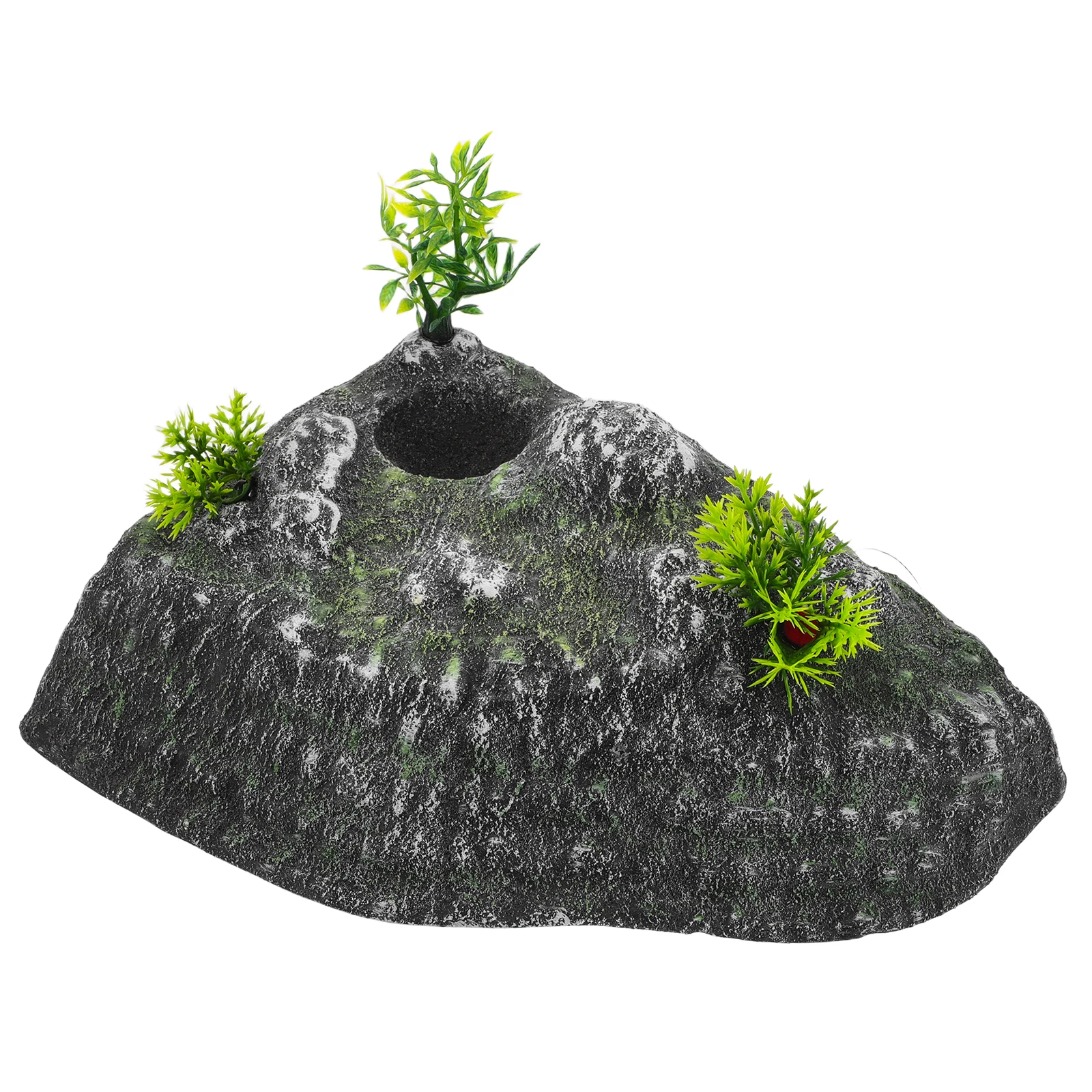 Платформа для сушки черепахи - Фотография_2