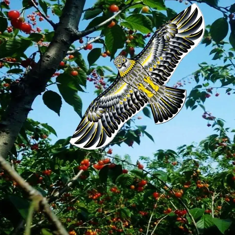 Воздушный змей против птиц - Фотография_4