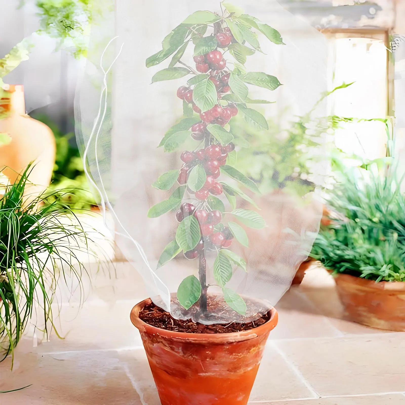 Сетчатые чехлы для растений - Фотография_2