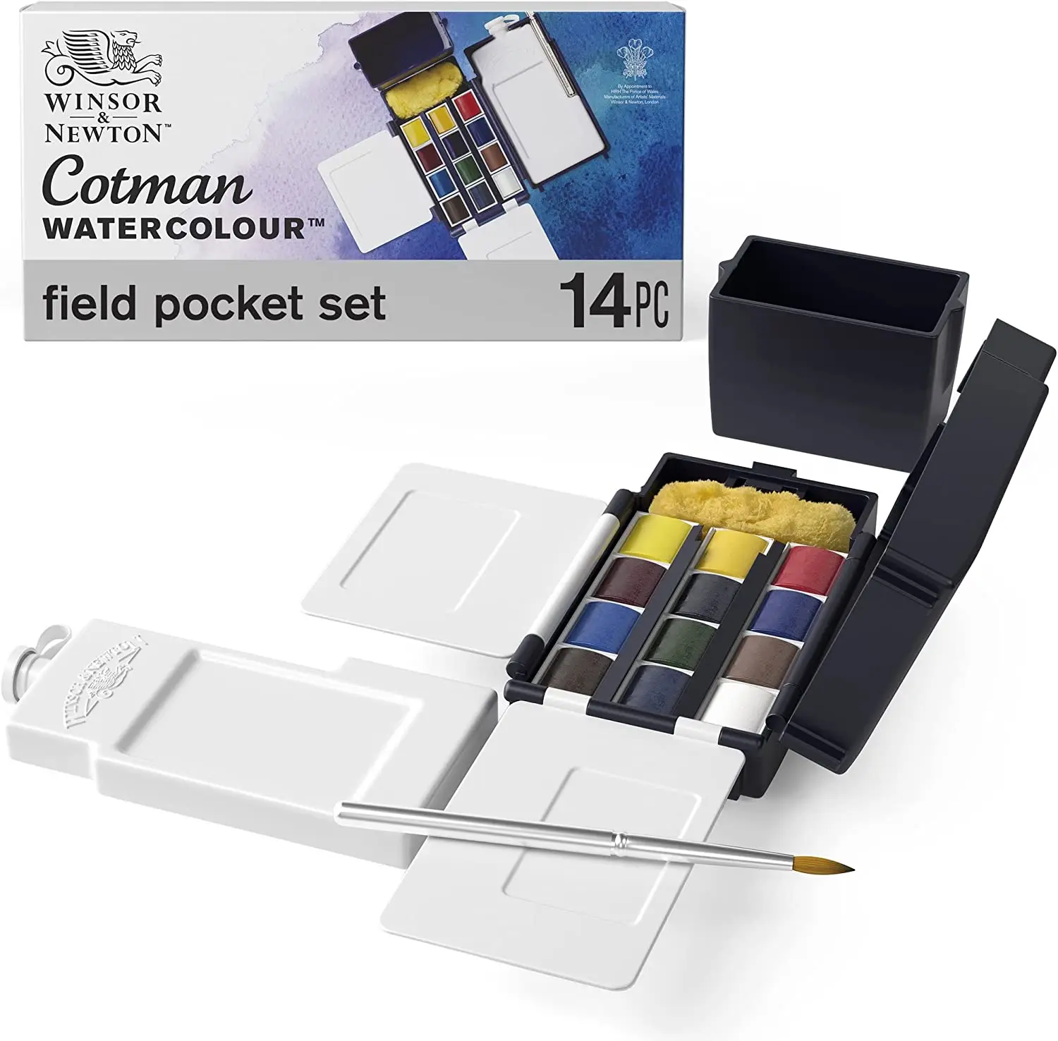 Winsor & newton cotman artist