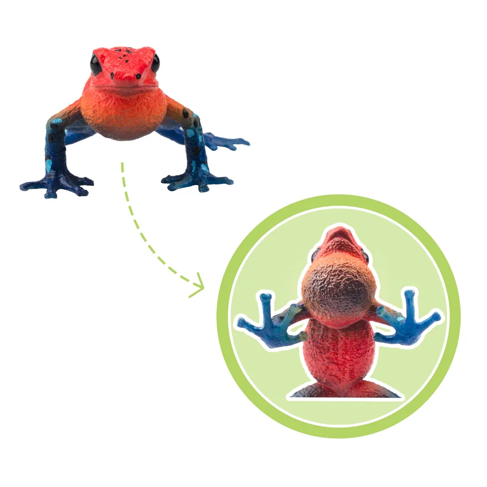 Toymany моделирование клубничный - Фотография_6