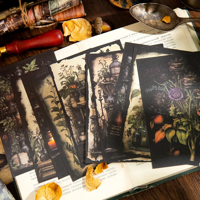 Mr. paper, 5 видов - Фотография_2