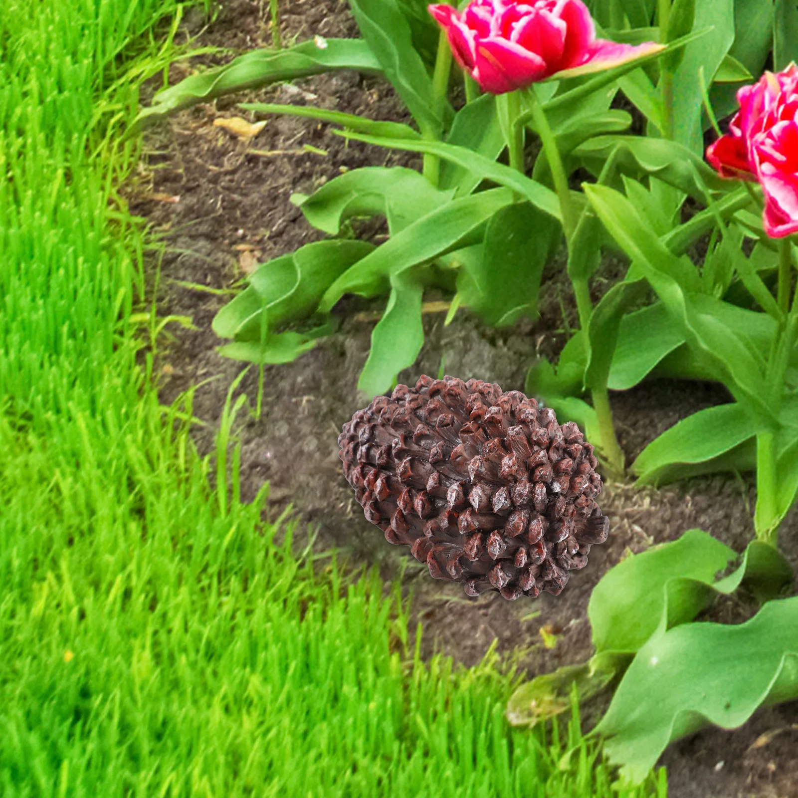 Сосновая шишка, смола - Фотография_2