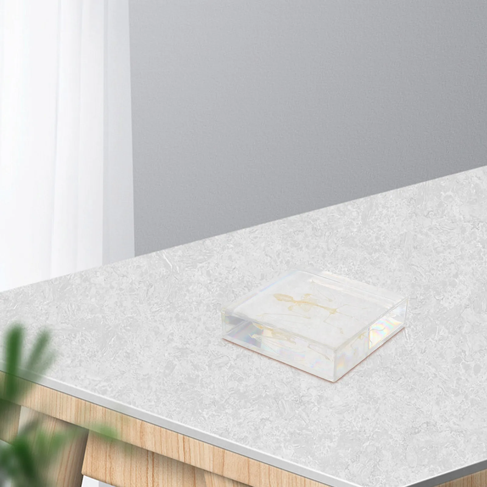 Дисплей летучей мыши: настоящий образец животного - Фотография_6