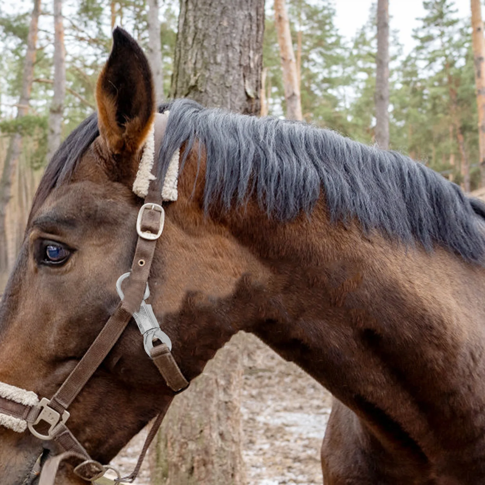 Крючок для паники для верховой езды - Фотография_5