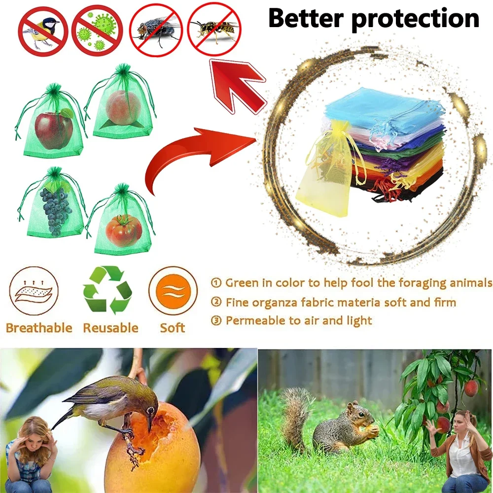 Защитные сумки для винограда и фруктов - Фотография_6