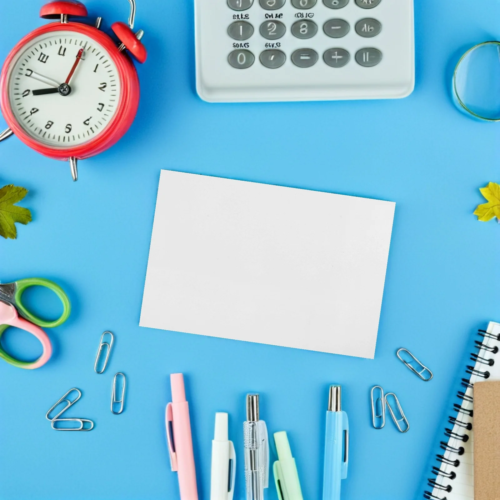 Пустой белый картон - Фотография_6