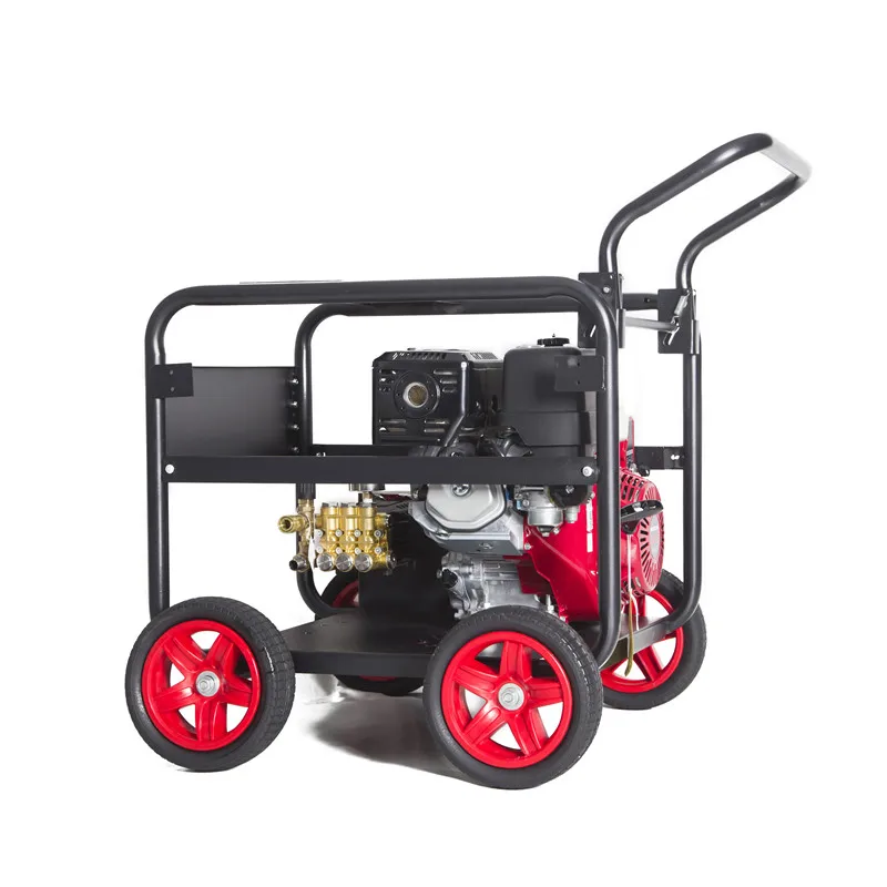 Очиститель высокого давления f6300 - Фотография_3