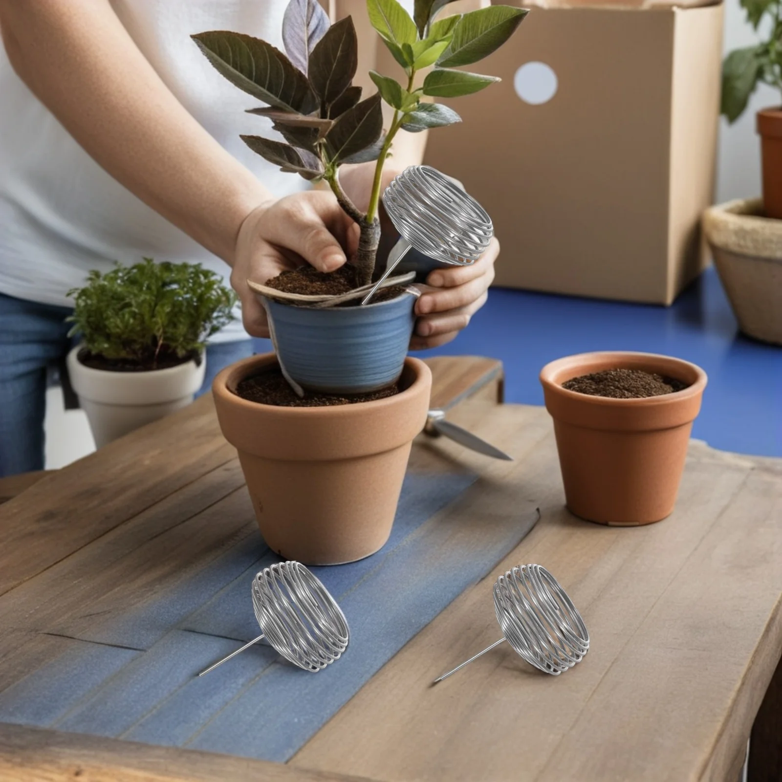 Корзина для удобрений из нержавеющей стали для бонсай - Фотография_6