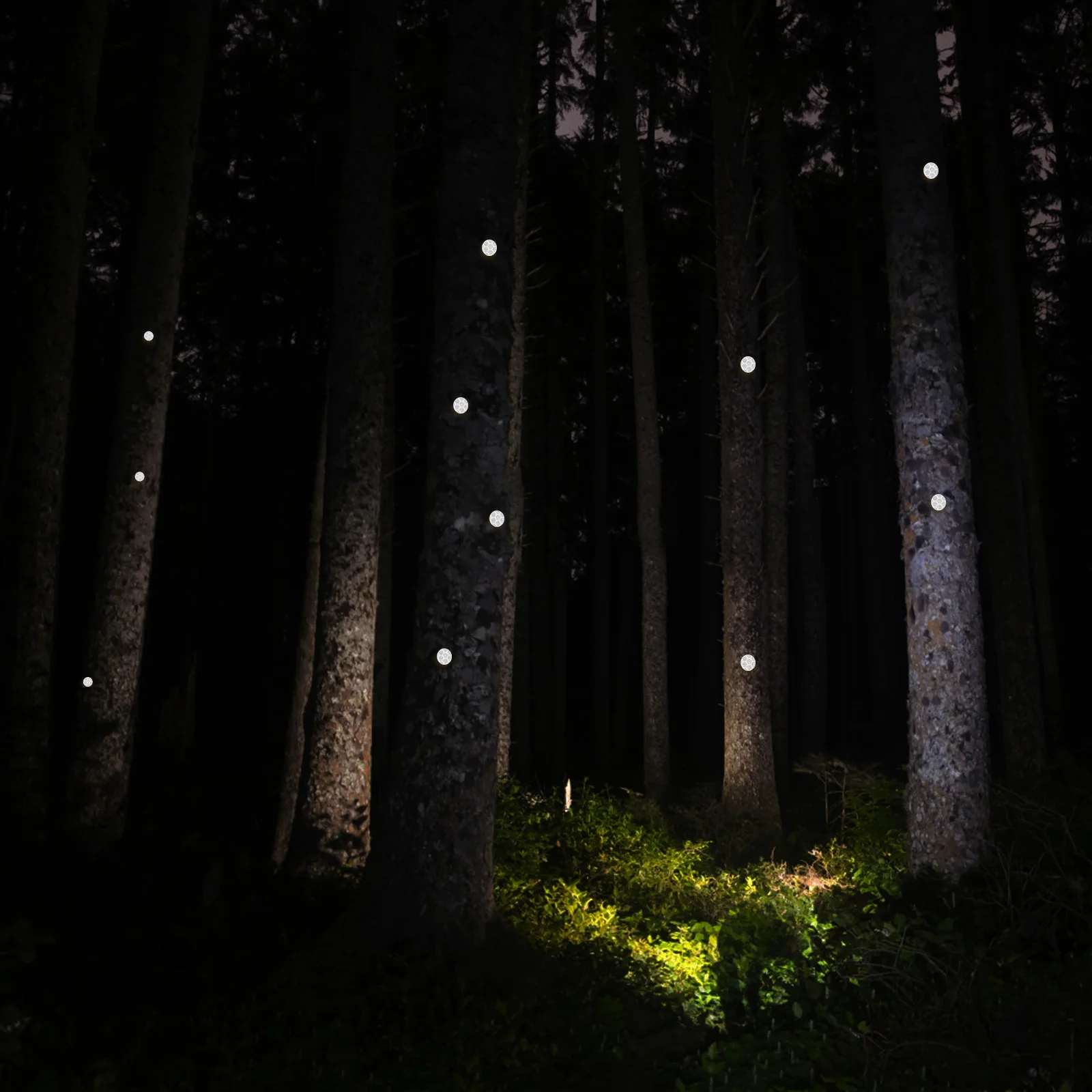 Светоотражающие кнопки для большого пальца - Фотография_5