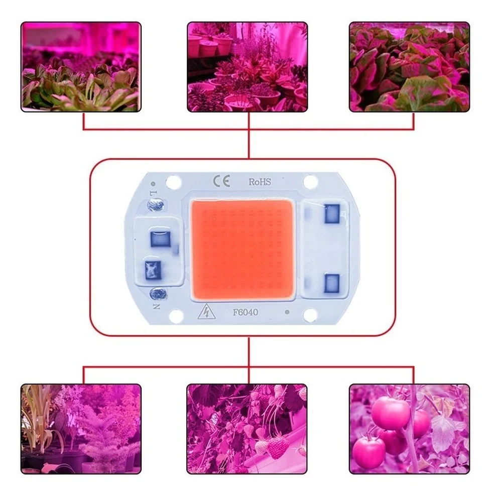 Cob led grow light lamp chip полный - Фотография_4