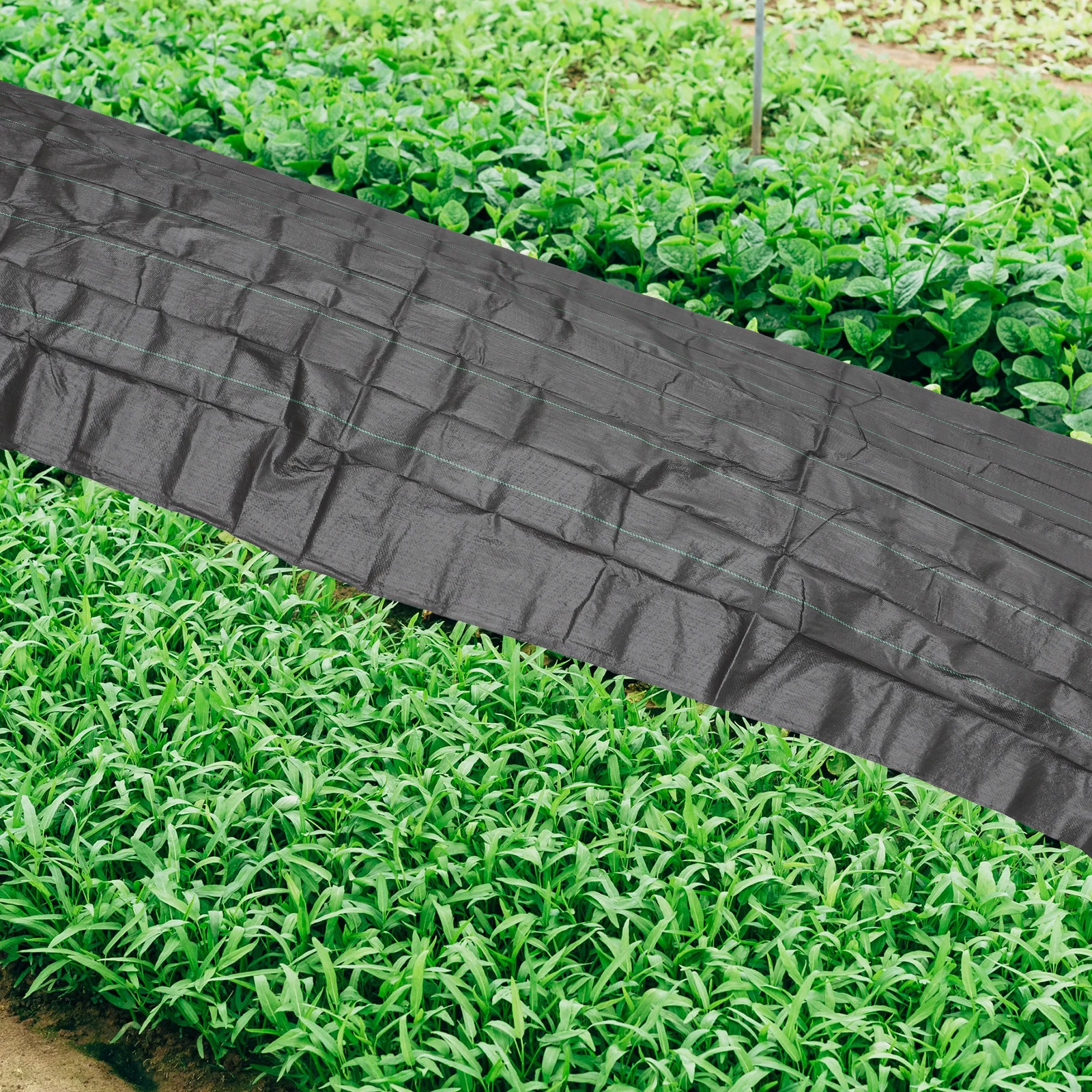 Садовая ткань для контроля сорняков - Фотография_6