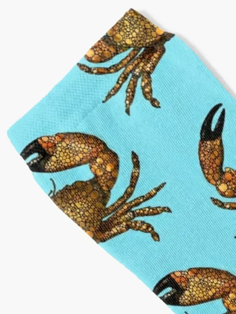 Stone rock'd stone crab от - Фотография_2