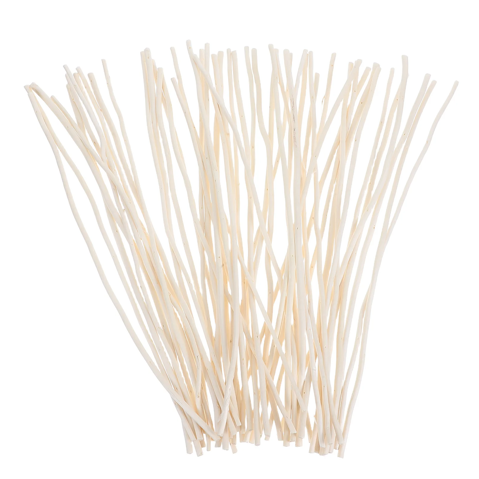 Сушеные натуральные ивы в стиле wabisabi - Фотография_3