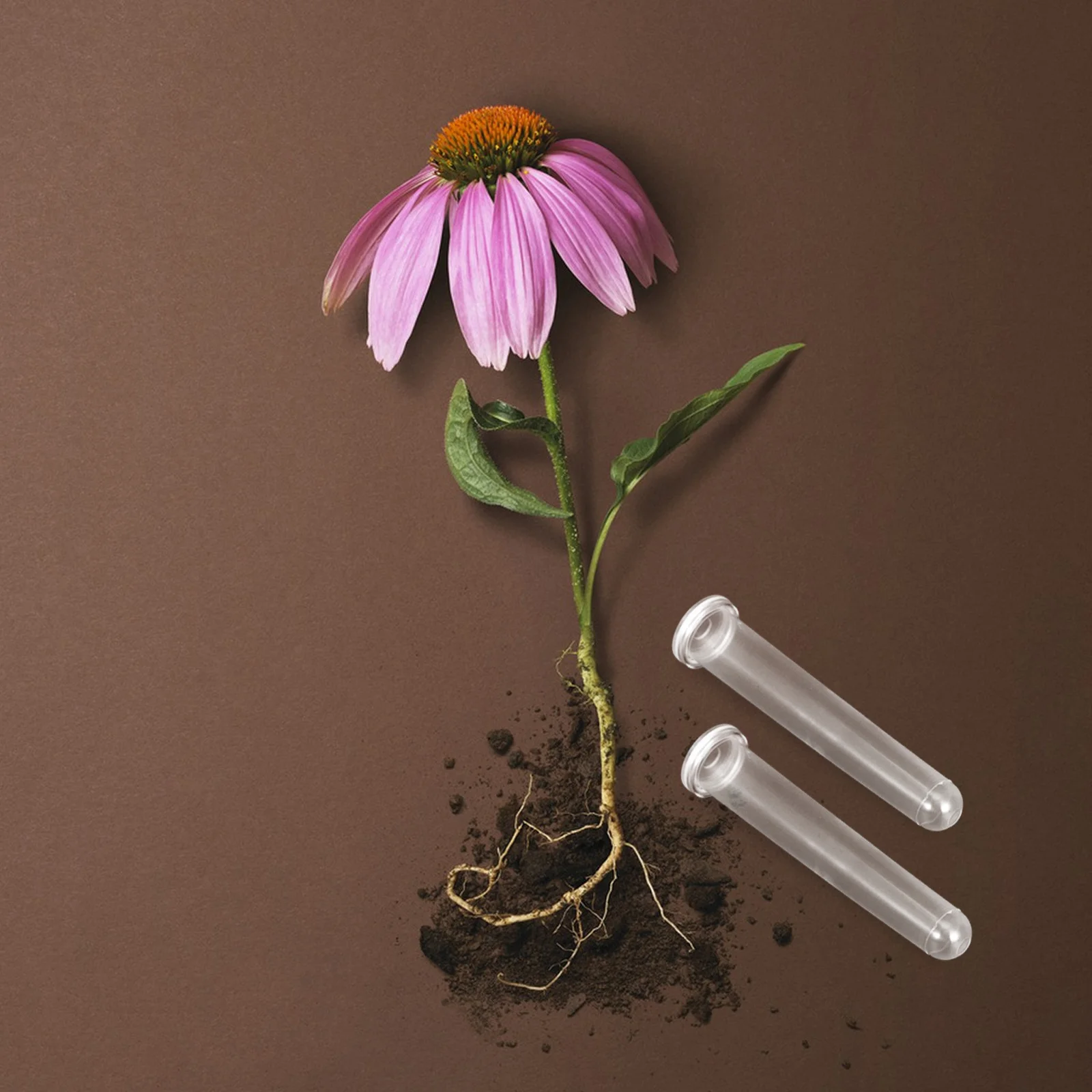 Прозрачные пластиковые трубочки для воды с одним стеблем цветка - Фотография_2