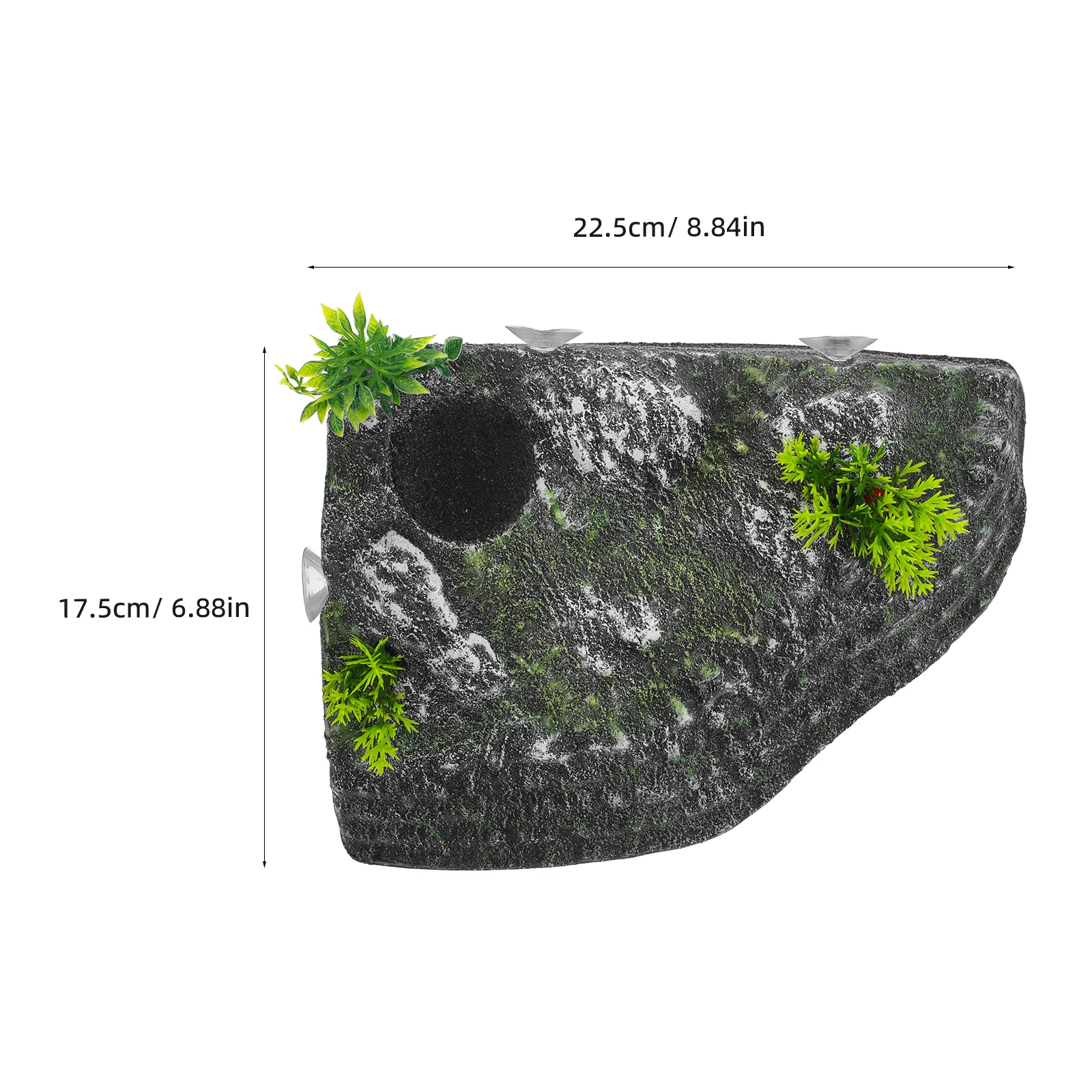 Платформа для сушки черепахи - Фотография_3