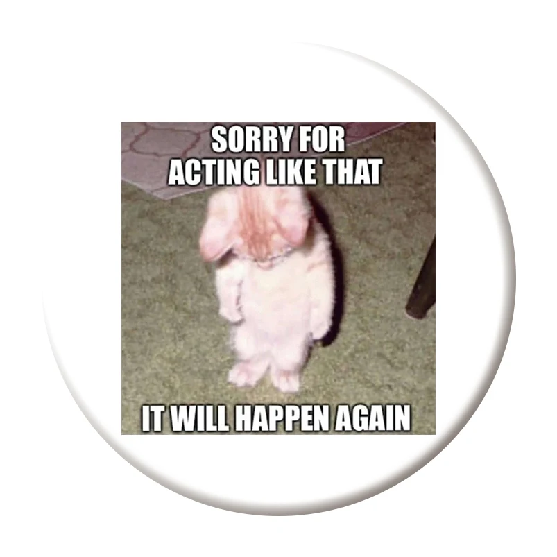 58 мм забавный кот - Фотография_4