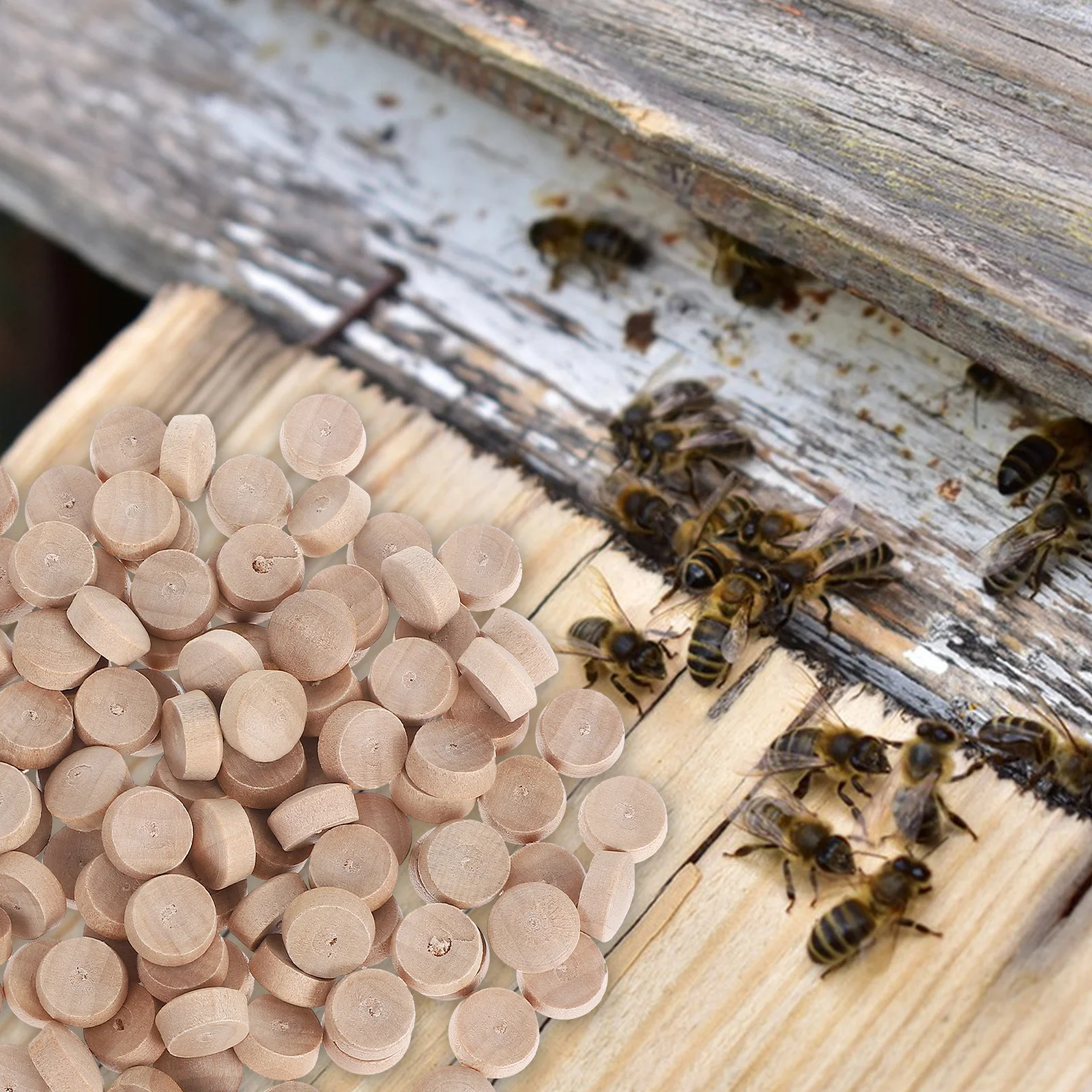 Деревянные заглушки для отверстий для мебели - Фотография_3