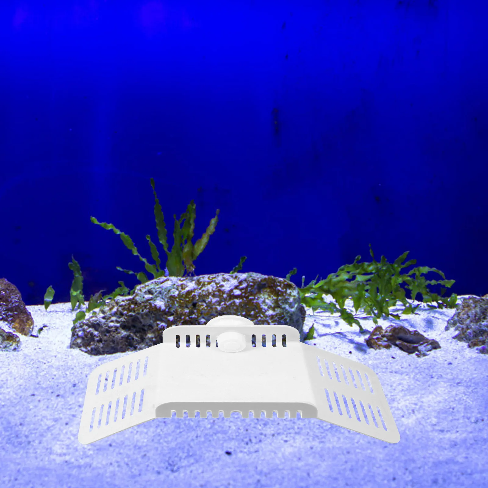 Платформа для грения черепахи