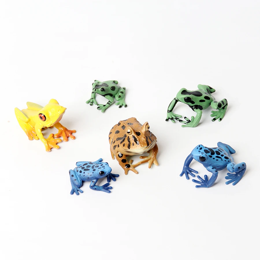 Реалистичные земноводные лягушки - Фотография_6
