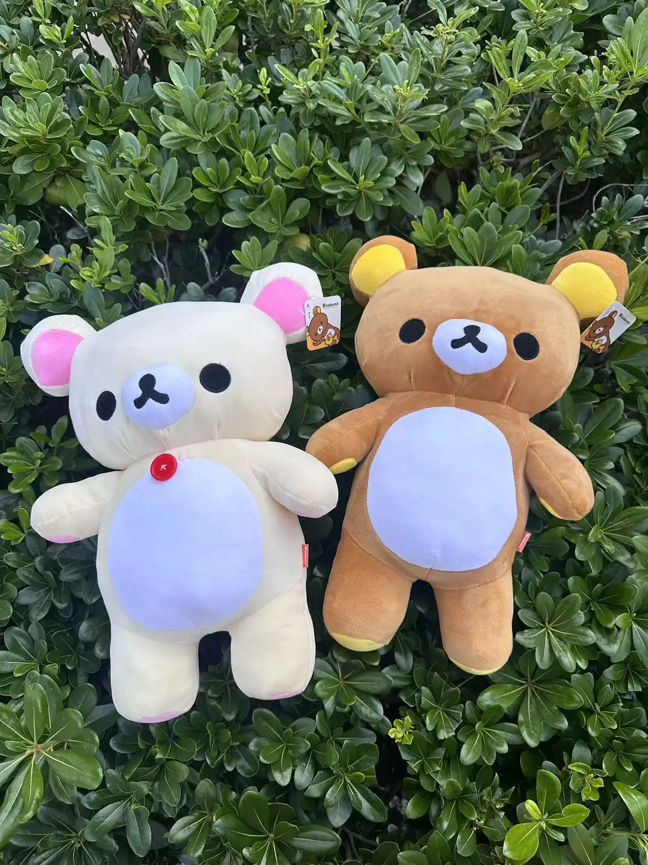 80 см rilakkuma плюшевая игрушка - Фотография_5
