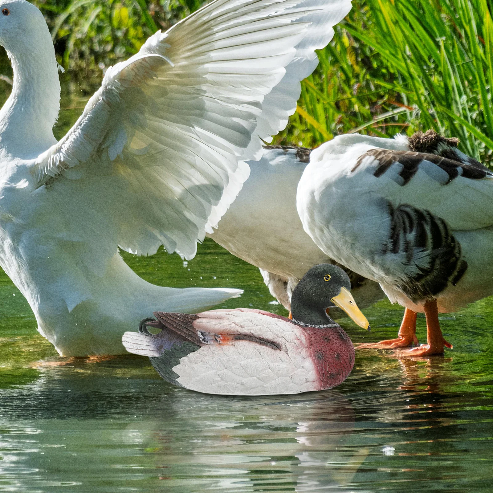 Реалистичная плавающая статуя утки из смолы - Фотография_3