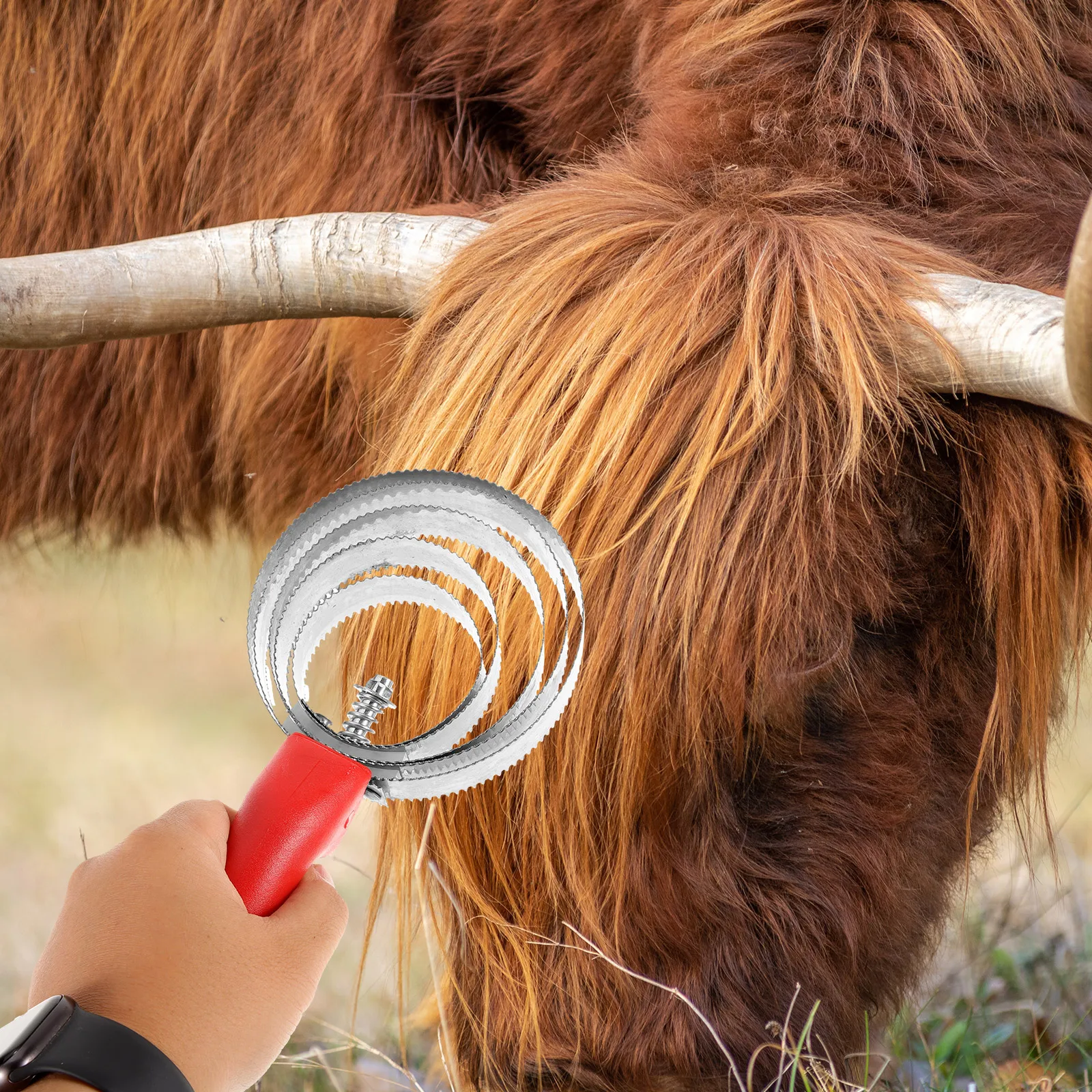 Легкая портативная щетка для ухода за лошадьми - Фотография_2