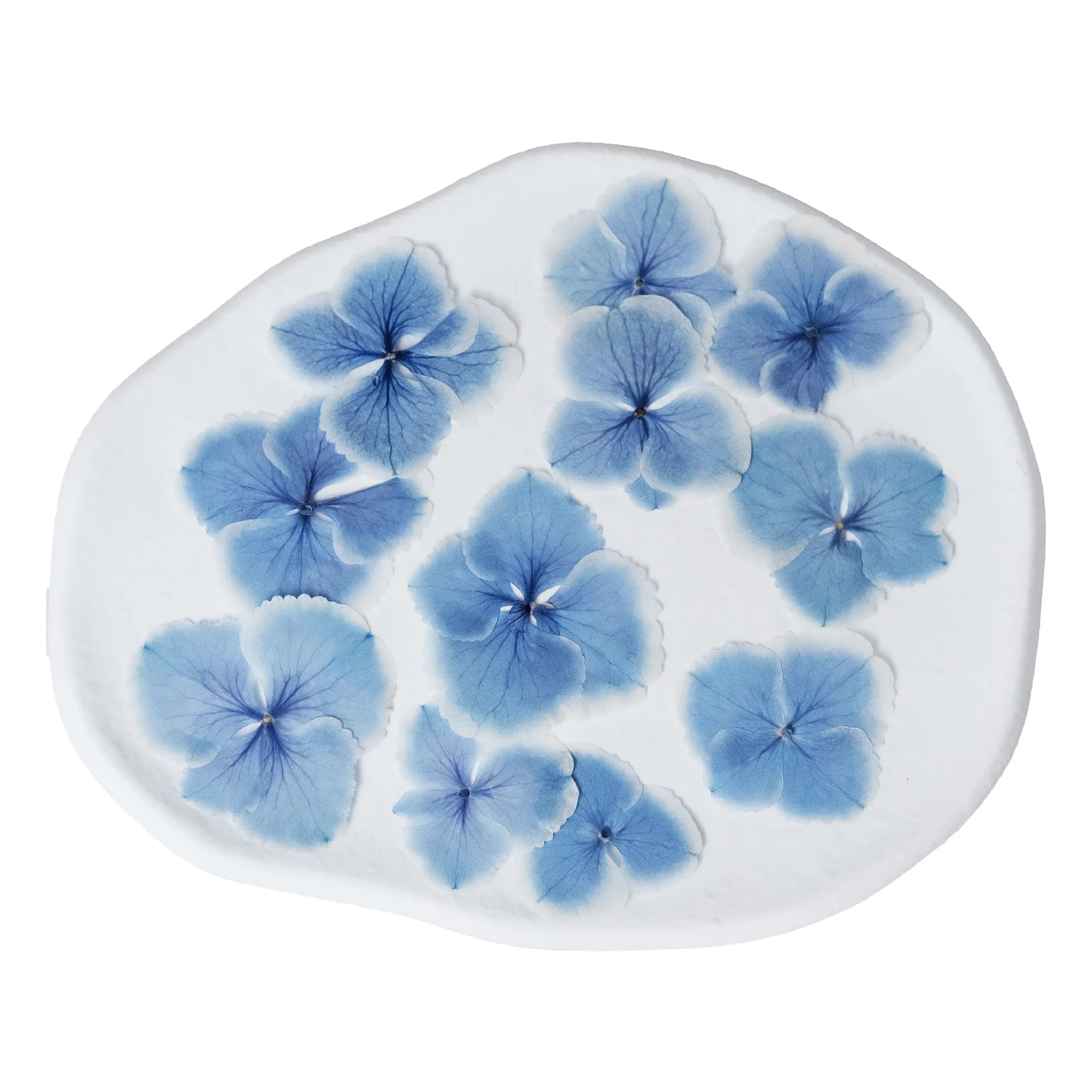 Натуральный основной цвет - Фотография_4