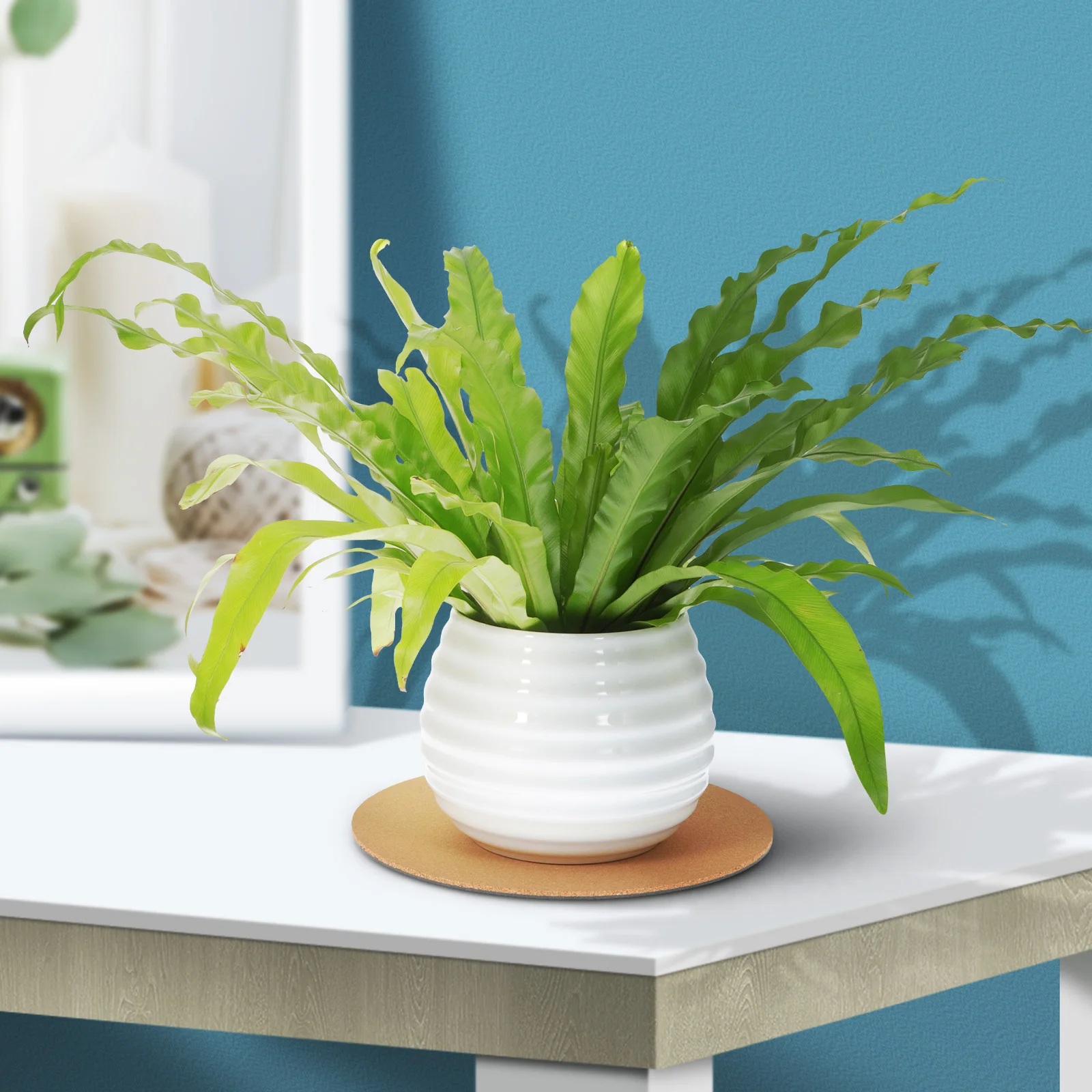 Круглые пробковые подставки для горшков для растений - Фотография_2